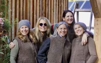 AUTwool – Wolle mit Herkunft: regional gedacht, nachhaltig gemacht